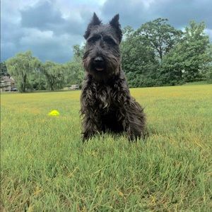 Meet your Posher, Stacey